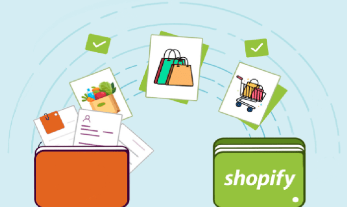 e-commerce migration to shopify